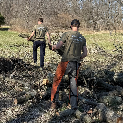 Tree Trimming in Okemos Michigan 