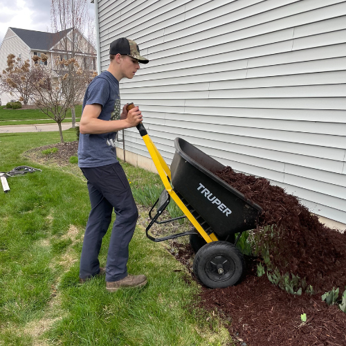Tree Trimming in Okemos Michigan 