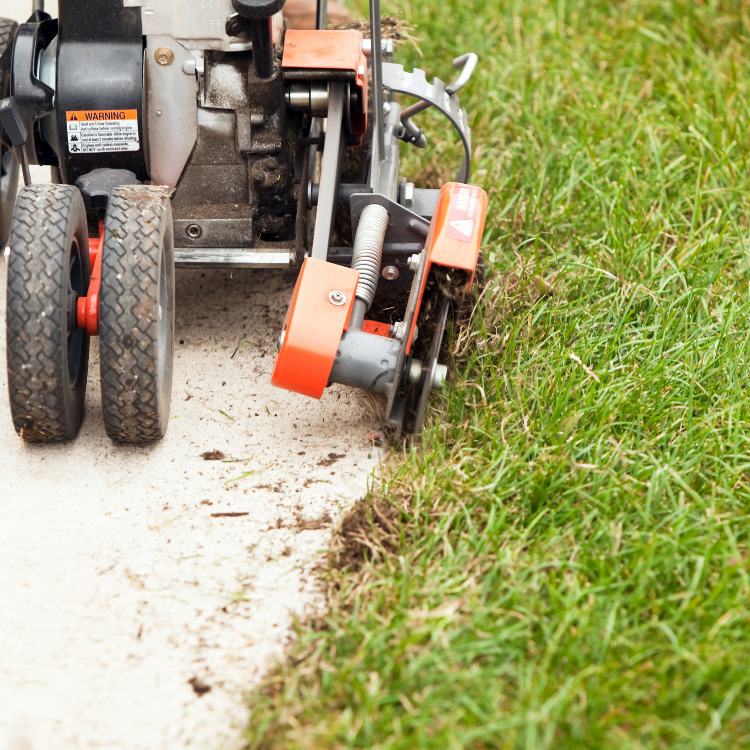 Lawn Edging in Okemos Michigan