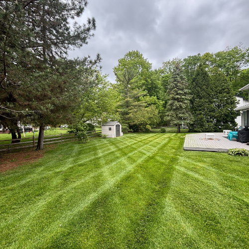 Lawn mowing in Okemos Michigan 