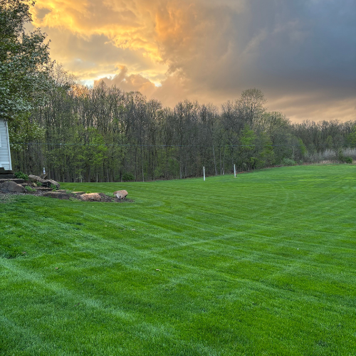 Lawn mowing in Okemos Michigan 